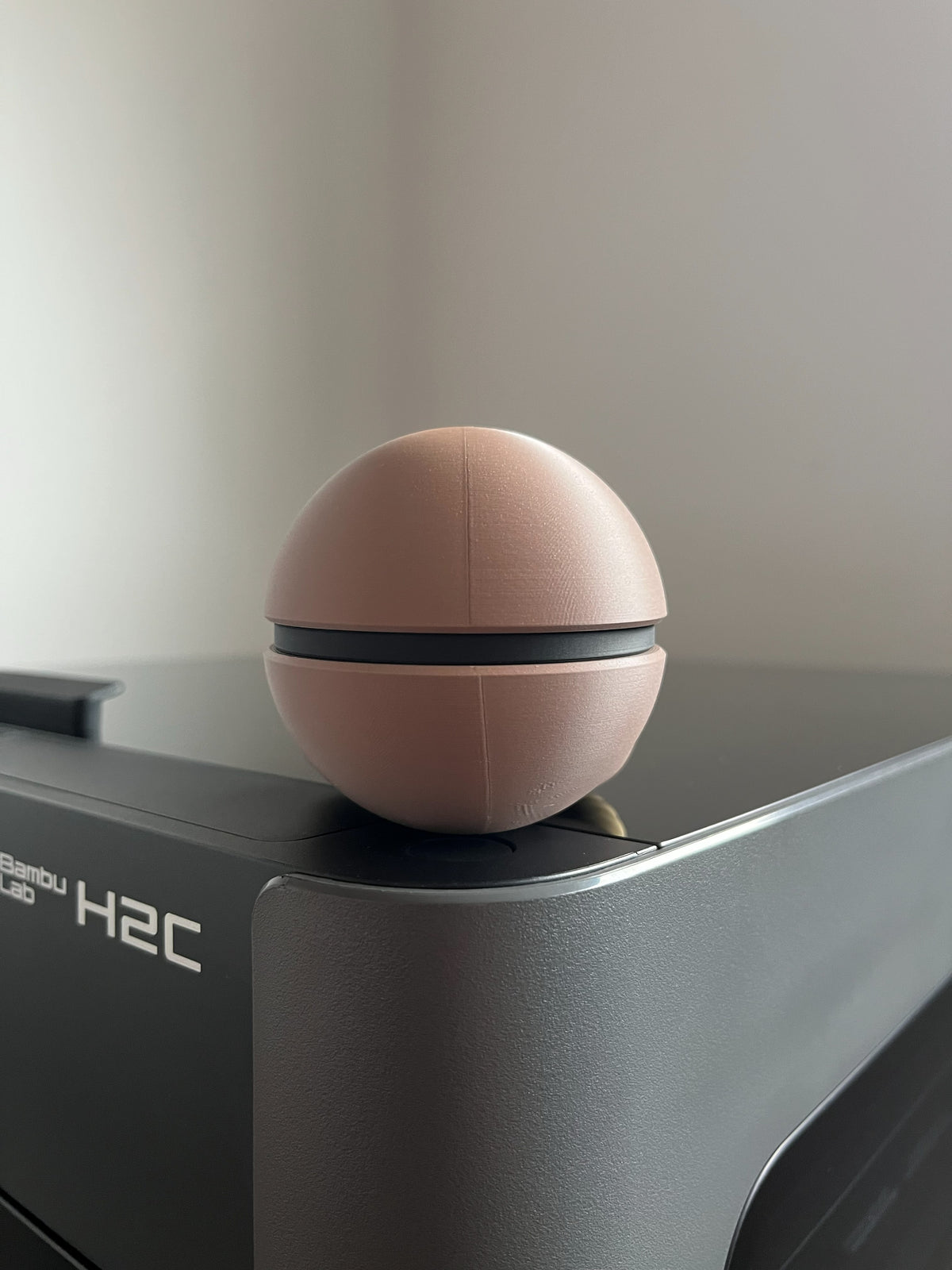 Hitmonlee Monster Ball, back view